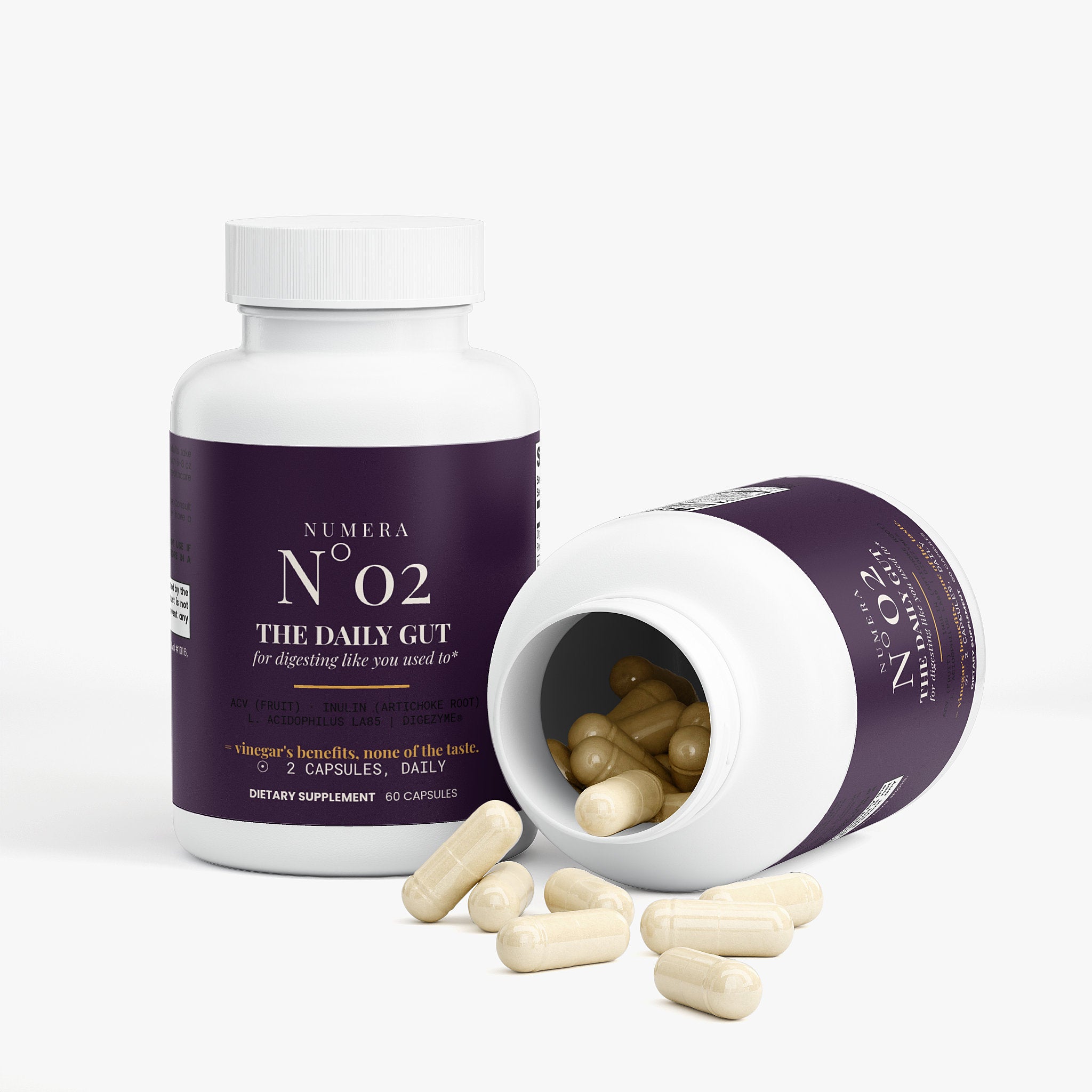 N°02 — The Daily Gut