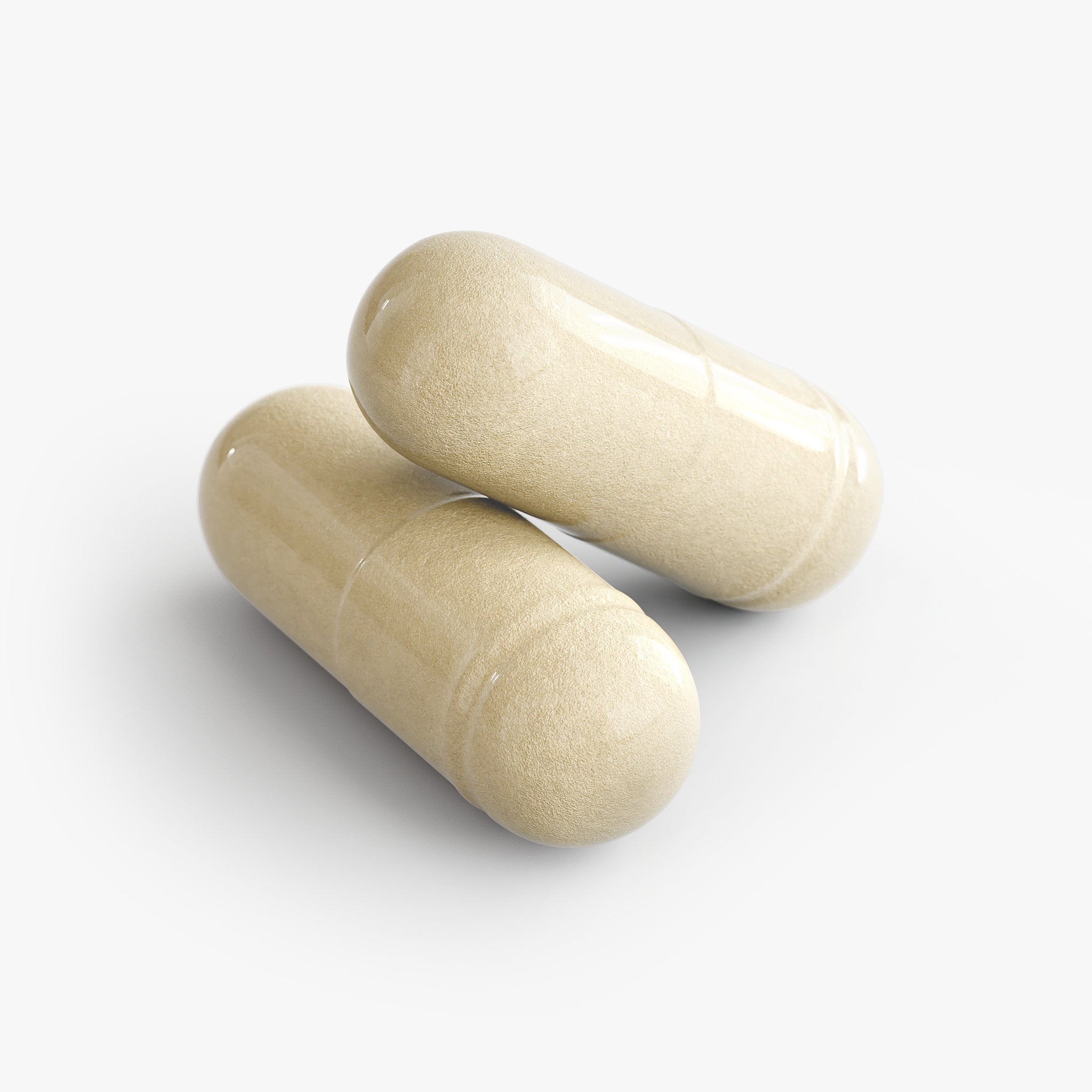 N°02 — The Daily Gut