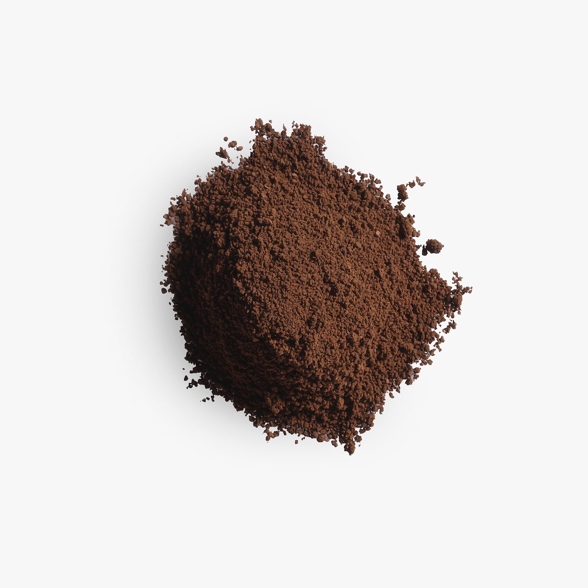 N°04 — The Daily Cup