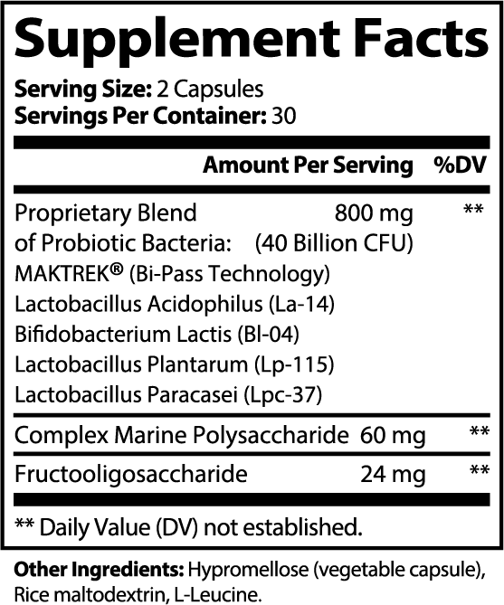 N°03 — The Daily Probiotic